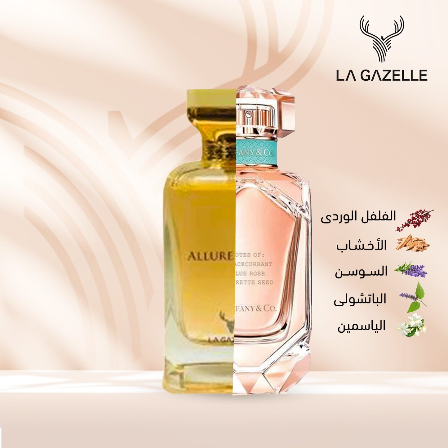 عرض النداء الاخير