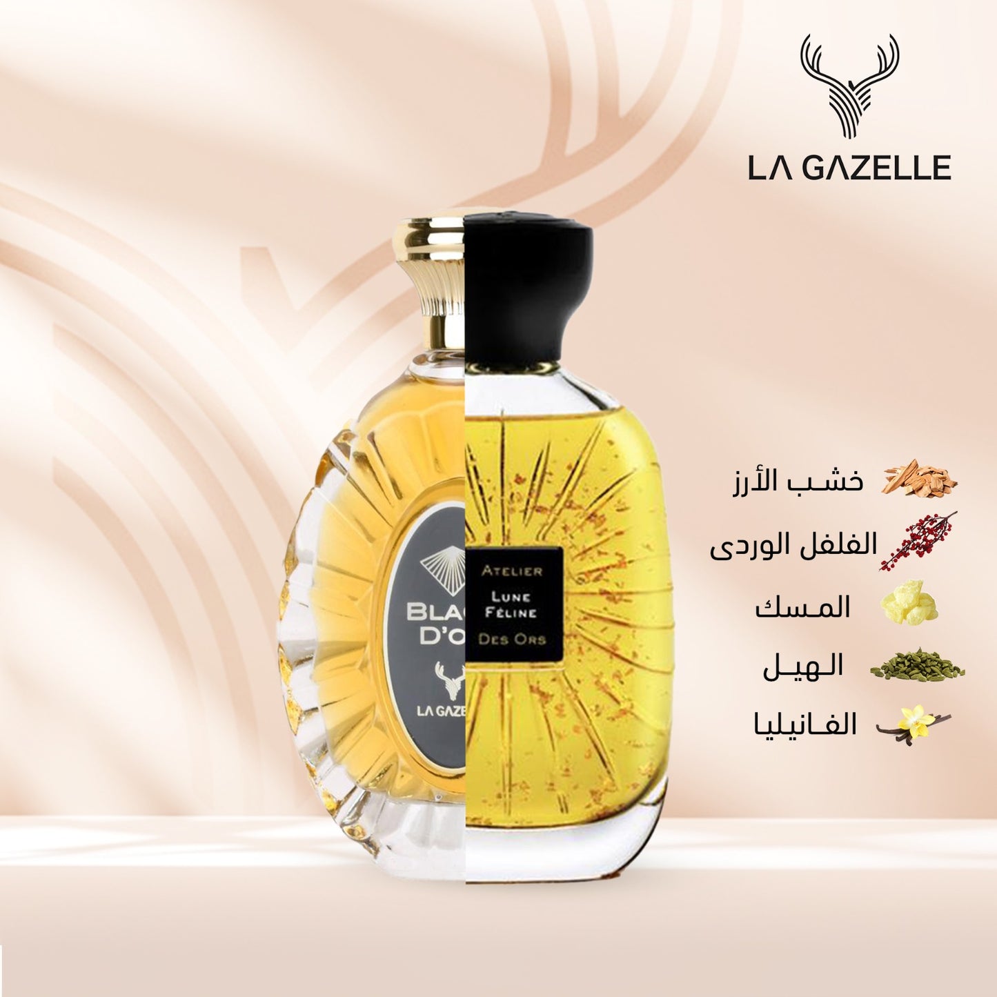 عرض النداء الاخير