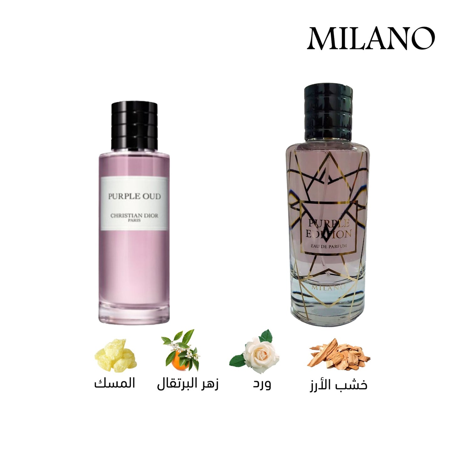Purple Edition Perfume