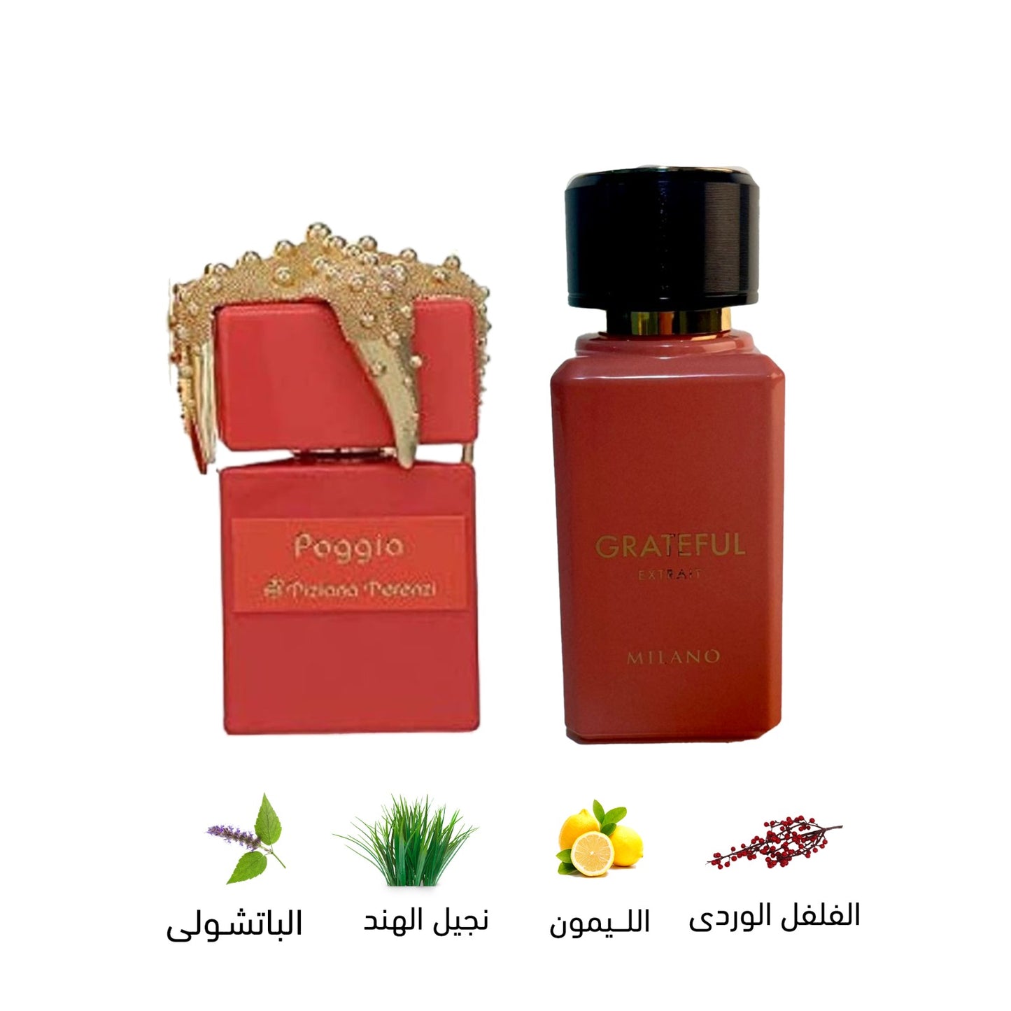 GRATEFUL EXTRACT Milano Perfume 100ml